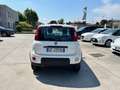 Fiat Panda Panda III 2021 Cross 0.9 natural power Cross 70cv Blanc - thumbnail 5