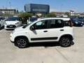 Fiat Panda Panda III 2021 Cross 0.9 natural power Cross 70cv Blanc - thumbnail 7