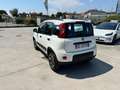 Fiat Panda Panda III 2021 Cross 0.9 natural power Cross 70cv Blanc - thumbnail 6