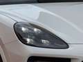 Porsche Cayenne III /PANO/LUFT/4xSHZG/Sitzlüftung/Soft Weiß - thumbnail 43