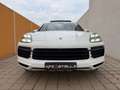 Porsche Cayenne III /PANO/LUFT/4xSHZG/Sitzlüftung/Soft Weiß - thumbnail 2