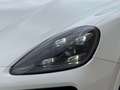 Porsche Cayenne III /PANO/LUFT/4xSHZG/Sitzlüftung/Soft Weiß - thumbnail 40