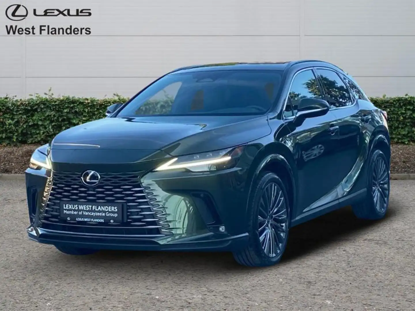 Lexus RX 450h Privilege Line+360°cam+nav+sen Зелёный - 1