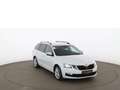 Skoda Octavia Combi 2.0 TDI Drive RADAR NAVI SITZHZG Weiß - thumbnail 7