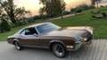 Buick Riviera Braun - thumbnail 6
