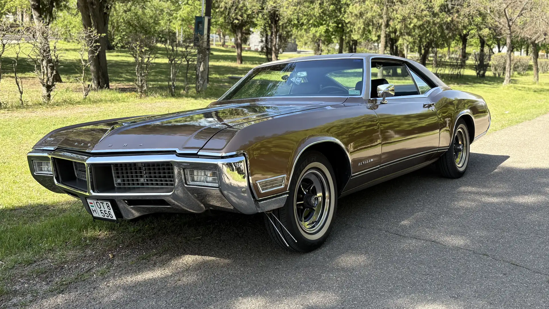 Buick Riviera Braun - 1