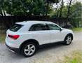 Audi Q3 35 2.0 tdi Business Advanced s-tronic - thumbnail 2