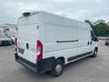 Citroen Jumper L3H2 2.2 BLUE HDI Bianco - thumbnail 2