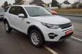 Land Rover Discovery Sport SE+1HD+XENON*NAVI*DAB*SCHECKHEFT Blanco - thumbnail 3