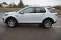 Land Rover Discovery Sport SE+1HD+XENON*NAVI*DAB*SCHECKHEFT Blanco - thumbnail 5