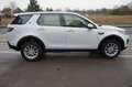 Land Rover Discovery Sport SE+1HD+XENON*NAVI*DAB*SCHECKHEFT Blanco - thumbnail 4
