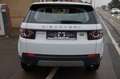 Land Rover Discovery Sport SE+1HD+XENON*NAVI*DAB*SCHECKHEFT Bianco - thumbnail 9