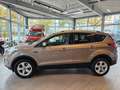 Ford Kuga Titanium Bi-Xenon, Navi Silber - thumbnail 2