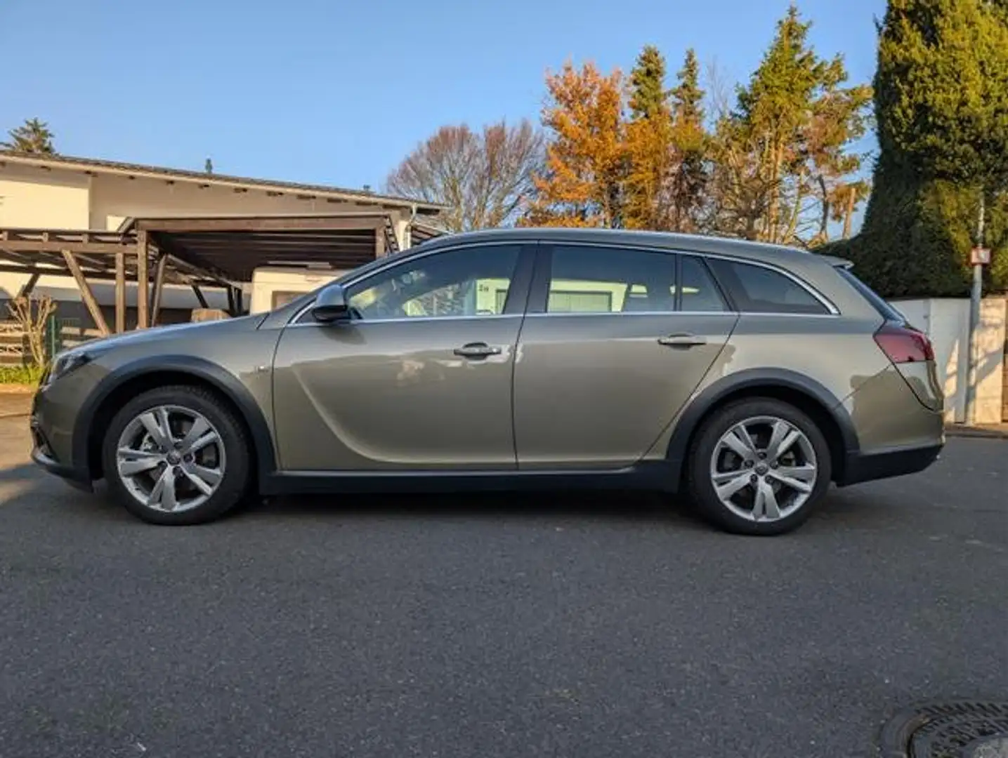 Opel Insignia Sports Tourer 4x4 Grün - 1