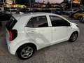 Kia Picanto 1.0 City Urban tecno Gpl 5p Weiß - thumbnail 2
