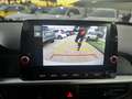 Kia Picanto 1.0 City Urban tecno Gpl 5p Weiß - thumbnail 7