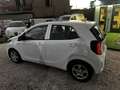Kia Picanto 1.0 City Urban tecno Gpl 5p Weiß - thumbnail 5