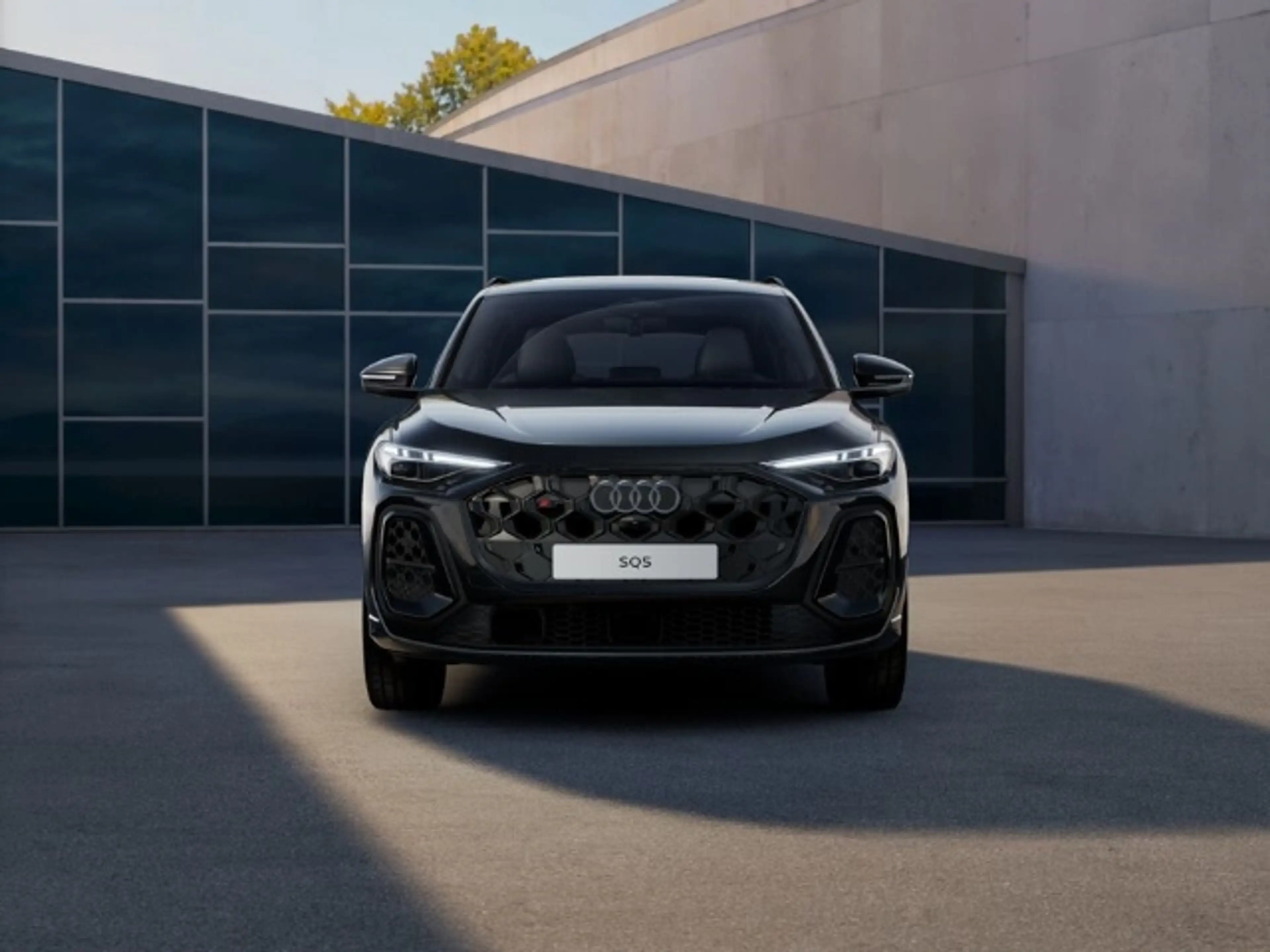 Audi SQ5 SUV TFSI HUD LUFT TECHPRO PANO AHK — photo 6