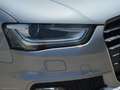 Audi A4 Avant 2.0 TDI 190 CV clean diesel TETTO Grau - thumbnail 8