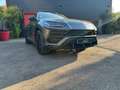 Lamborghini Urus Urus 4.0 V8 650 ch BVA8 Grau - thumbnail 2
