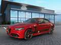 Alfa Romeo Giulia 2.9 V6 Bi-Turbo,Quadrifoglio,Carbon,600PS Rouge - thumbnail 2