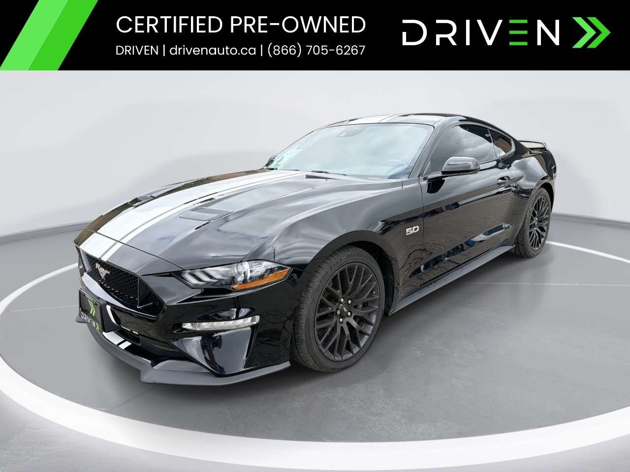 2022 Ford Mustang GT Fastback PERFORMANCE PKG. / ONE OWNER / NO ACCI