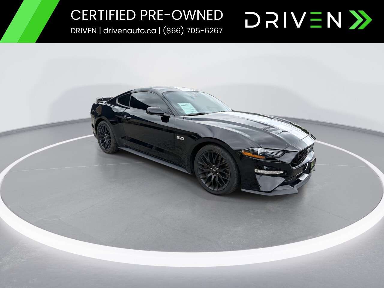 2022 Ford Mustang GT Fastback PERFORMANCE PKG. / ONE OWNER / NO ACCI — снимка 1