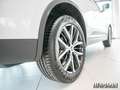Renault Koleos 2.0 BLUE dCi 185 FAP Techno *NAVI*ACC*FLA Wit - thumbnail 5