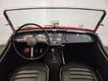 Triumph TR3 Rouge - thumbnail 29