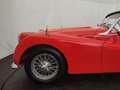Triumph TR3 Rouge - thumbnail 18