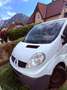Renault Trafic Trafic Gen. Expr. L1H1 2,0 dCi DPF Expression Weiß - thumbnail 4