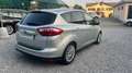 Ford C-Max C-Max 2.0 tdci Plus 115cv powershift Argento - thumbnail 7