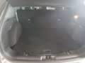 Ford Kuga 1.5 EcoBoost COOL&CONNECT Grau - thumbnail 14