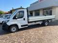 Fiat Ducato Cassonato 2.3 MJT 120 CV PASSO EXTRA LUNGO Bianco - thumbnail 5