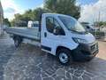 Fiat Ducato Cassonato 2.3 MJT 120 CV PASSO EXTRA LUNGO Bianco - thumbnail 3