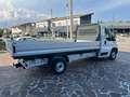 Fiat Ducato Cassonato 2.3 MJT 120 CV PASSO EXTRA LUNGO Bianco - thumbnail 9