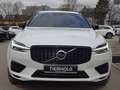 Volvo XC60 T6 R Design Plug-In ACC HUD PANO 22" 360° Weiß - thumbnail 10