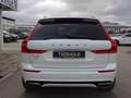 Volvo XC60 T6 R Design Plug-In ACC HUD PANO 22" 360° Weiß - thumbnail 6
