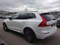 Volvo XC60 T6 R Design Plug-In ACC HUD PANO 22" 360° Weiß - thumbnail 5