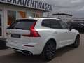 Volvo XC60 T6 R Design Plug-In ACC HUD PANO 22" 360° Weiß - thumbnail 7