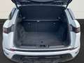 Land Rover Range Rover Evoque P200 SE+ACC+Pano+Nav+DAB+WiPa Weiß - thumbnail 8