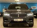 BMW X5 xDrive 30d SAG/Park&DriveAss/AHK/Panor/KeyLes Gris - thumbnail 5