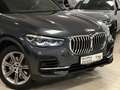 BMW X5 xDrive 30d SAG/Park&DriveAss/AHK/Panor/KeyLes Gris - thumbnail 4