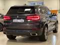 BMW X5 xDrive 30d SAG/Park&DriveAss/AHK/Panor/KeyLes Gris - thumbnail 30