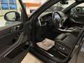 BMW X5 xDrive 30d SAG/Park&DriveAss/AHK/Panor/KeyLes Gris - thumbnail 13