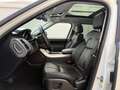 Land Rover Range Rover Sport 3.0SDV6 HSE 306 Aut. Blanco - thumbnail 12