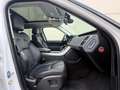 Land Rover Range Rover Sport 3.0SDV6 HSE 306 Aut. Blanco - thumbnail 11