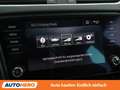 Skoda Octavia 2.0 TDI RS 4x4 Grau - thumbnail 28