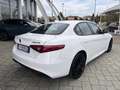 Alfa Romeo Giulia Giulia 2016 2.2 t B-Tech Q4 190cv awd auto Bianco - thumbnail 3