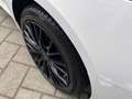 Alfa Romeo Giulia Giulia 2016 2.2 t B-Tech Q4 190cv awd auto Bianco - thumbnail 7